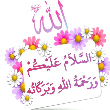 Asslam O Alikum To All 🌹