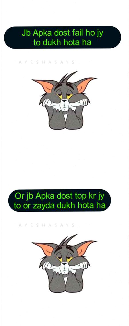 Memes & Satire image