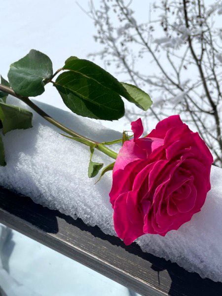 Beautiful Nature image