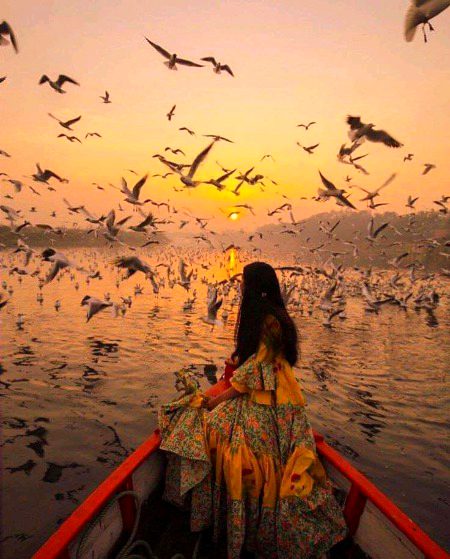 Beautiful Nature image