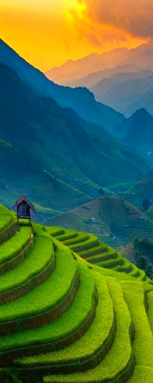 Beautiful Nature image