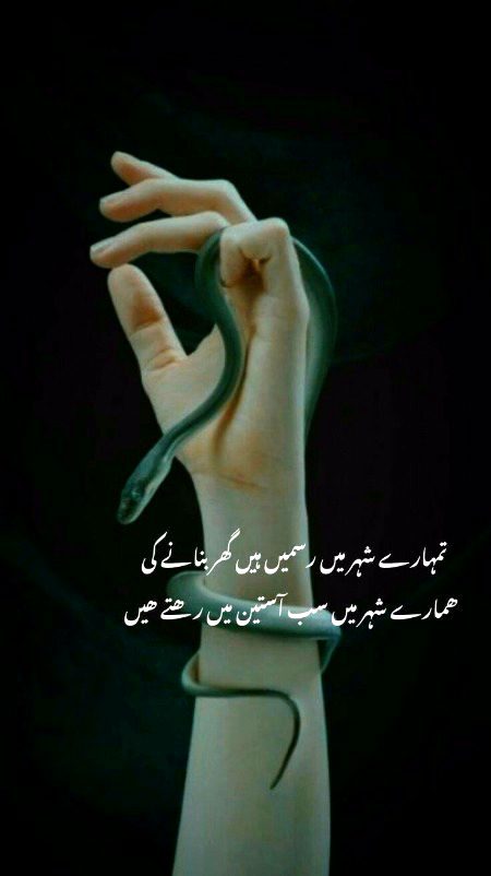 Attitude Poetry image