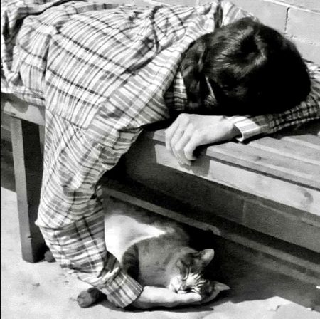 Love is the gravity between small things, a fingertip tracing the lip of a coffee cup, the slow collapse of distance between two silences, and the way your name blooms against my ribs without ever touching air.