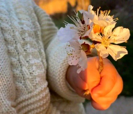 زندگی کے غار میں اعمال کے چراغوں میں سب سے روشن چراغ "اللہ کے خوف" کا ہے...! 🤍🌸