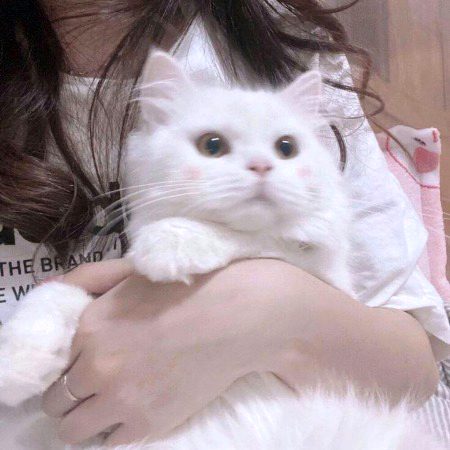 Beautiful Nature image