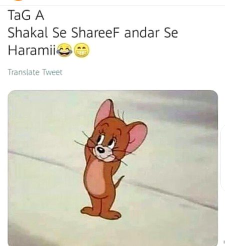 Damadam.Pk