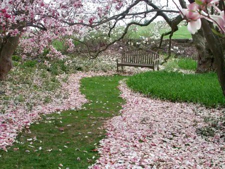 Beautiful Nature image