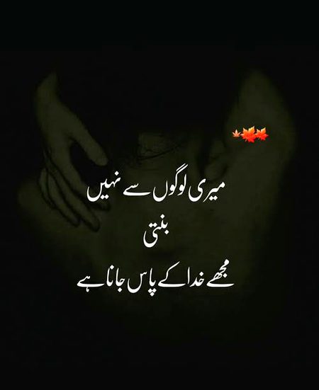 Sad Poetry image