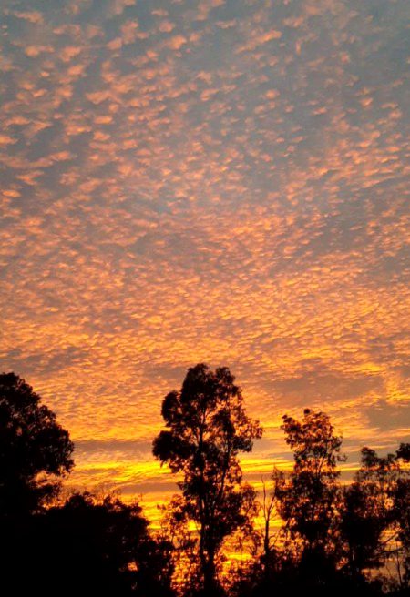 Beautiful Nature image