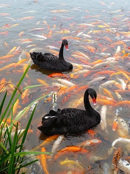 Beautiful Nature image
