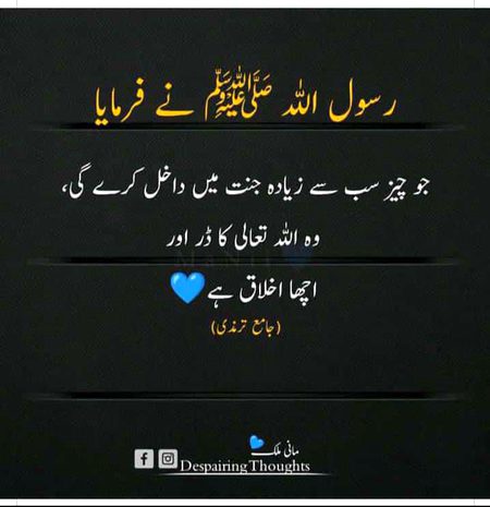 Islamic Quotes image