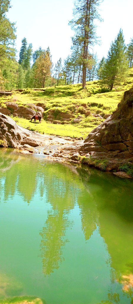Beautiful Nature image