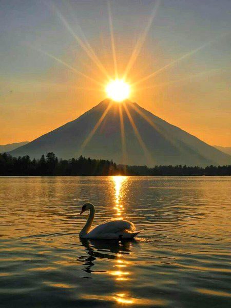 Beautiful Nature image