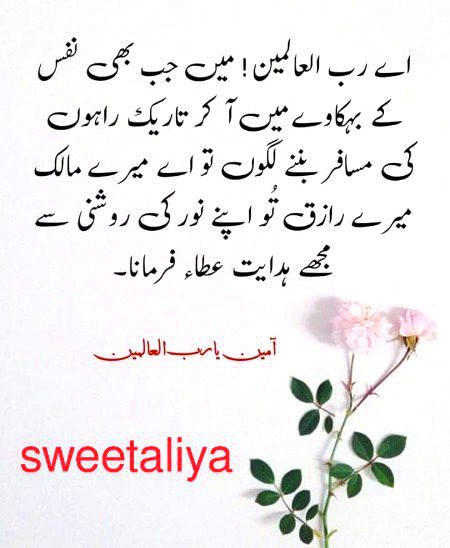 Islamic Quotes image
