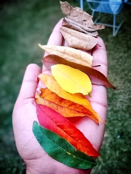 Beautiful Nature image
