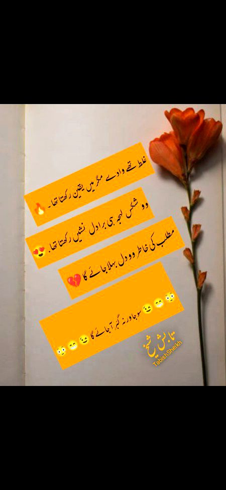 اداس راتوں کو دیکھ کر مجھے محبت پہ ترس آتا ہے
