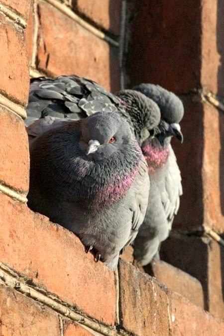 Beautiful Nature image