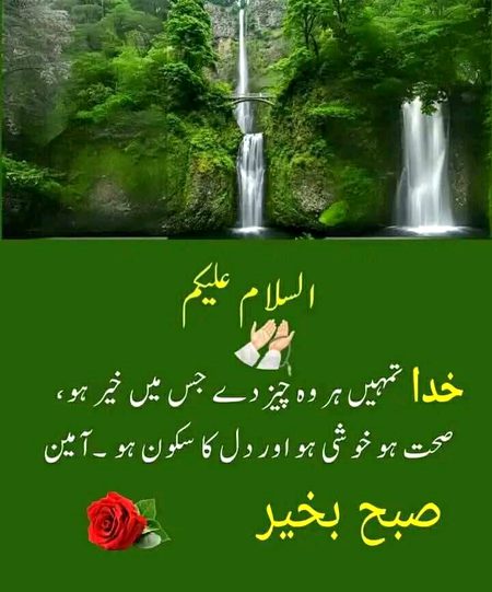اسلام علیکم صبح بخیر