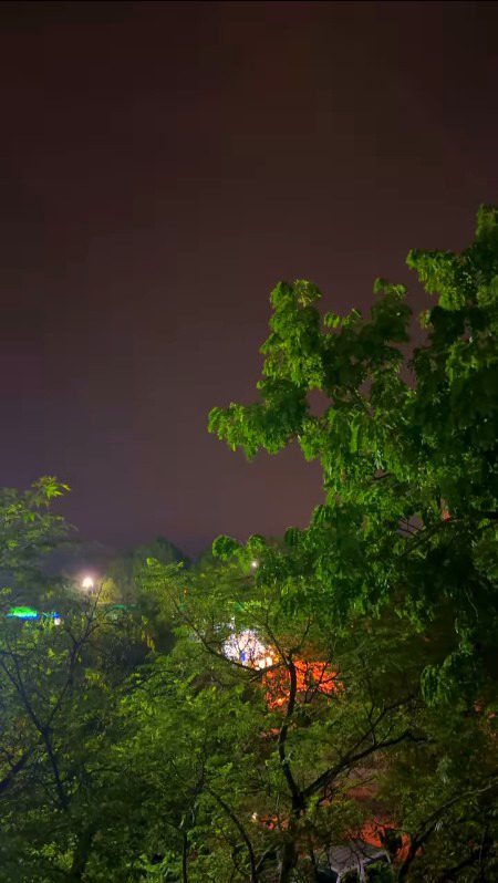 Beautiful Nature image