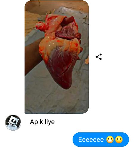 Kiya mjy deny k liye srf janwar ka Dil rh gya h....😕