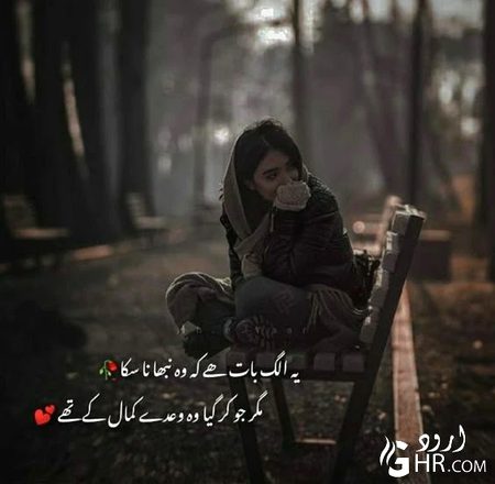 یہ الگ بات ہے کہ وہ نبھا نا سکا
مگر جو کر گیا وہ وعدے کمال کے تھے.a1