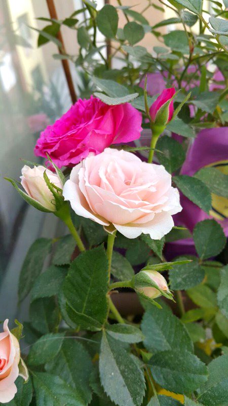 Beautiful Nature image
