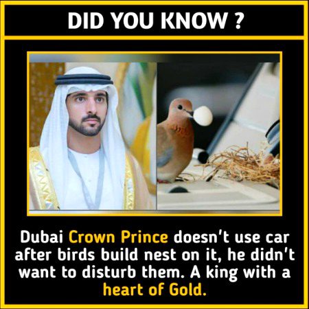 Interesting Posts image