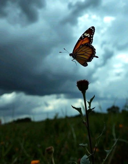 کبھی کبھار ہم بہتر راستے اور مناسب وقت کی تلاش میں اپنی زندگی کی مہلت استعمال کر بیٹھتے ہیں