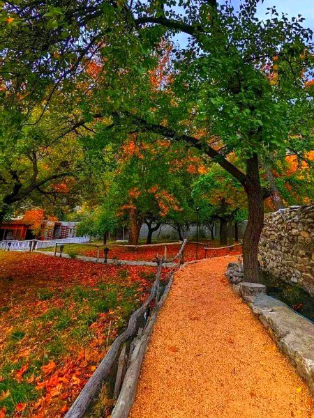 Beautiful Nature image