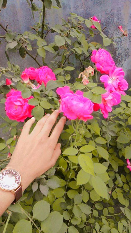 Beautiful Nature image