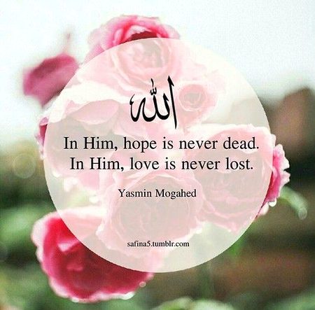 Islamic Quotes image