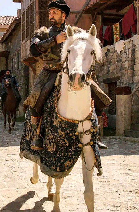 Turkish Celebs image