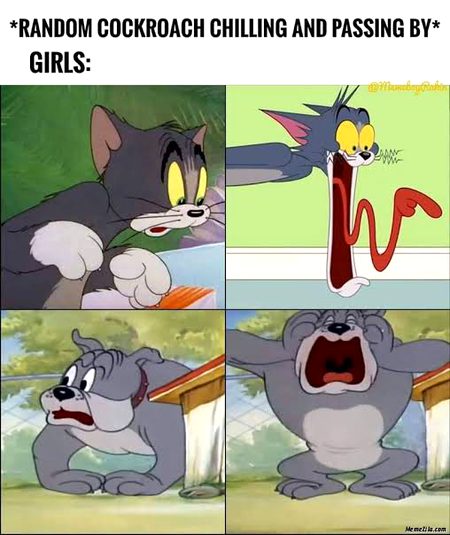 Memes & Satire image