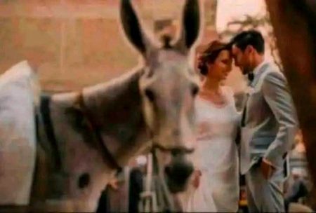 جب کھوتوں کو کوئی منہ نا لگائے،تو دو محبت کرنے والوں کے درمیان تیسرا بن کر آ جاتے ہیں۔۔۔۔۔🙂🚶