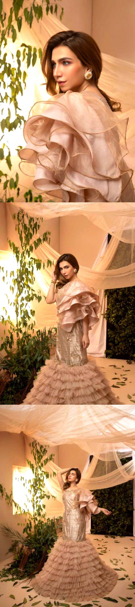 Pakistani Celebs image