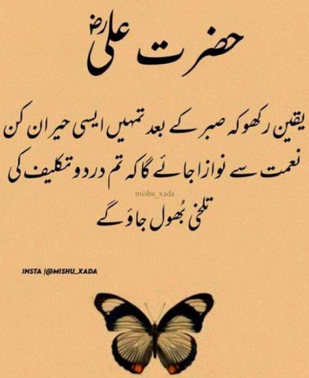 Motivational Quotes image