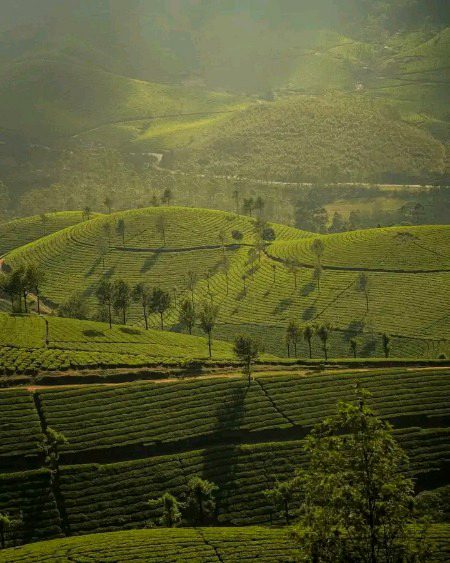 Beautiful Nature image