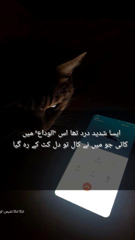 Azil sharing