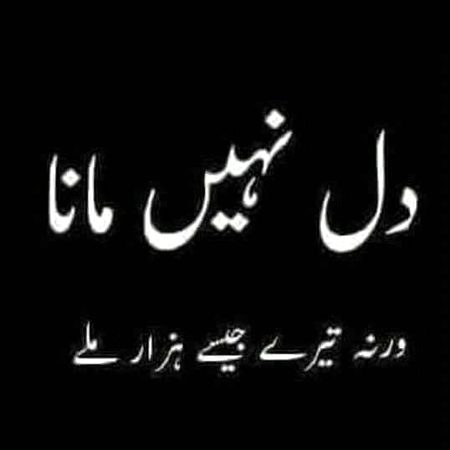 Attitude Poetry image