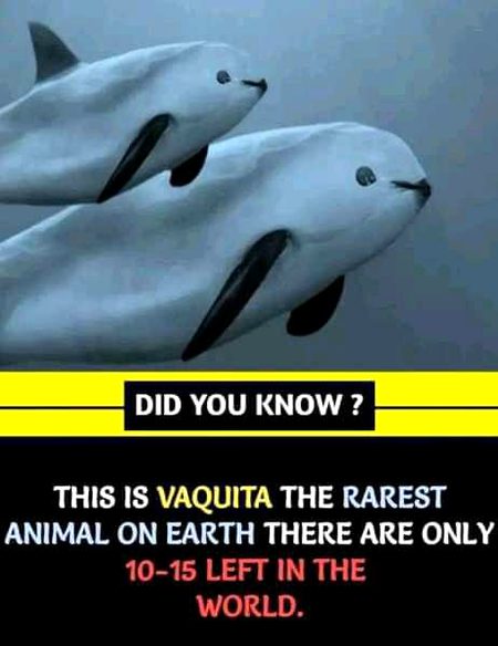 Interesting Posts image