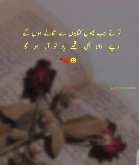 Sad Poetry image