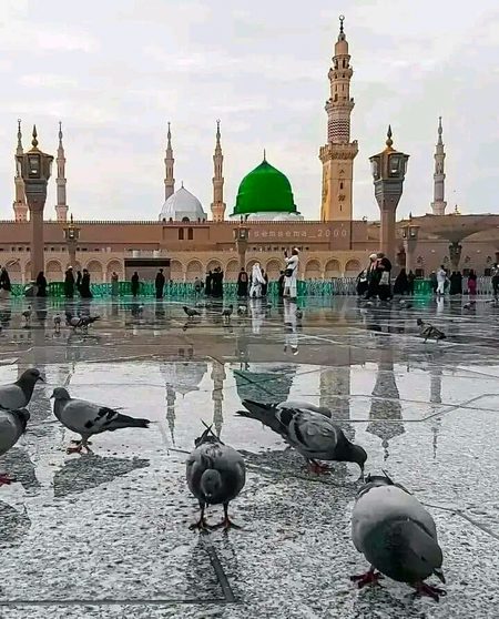 Beautiful Structures image