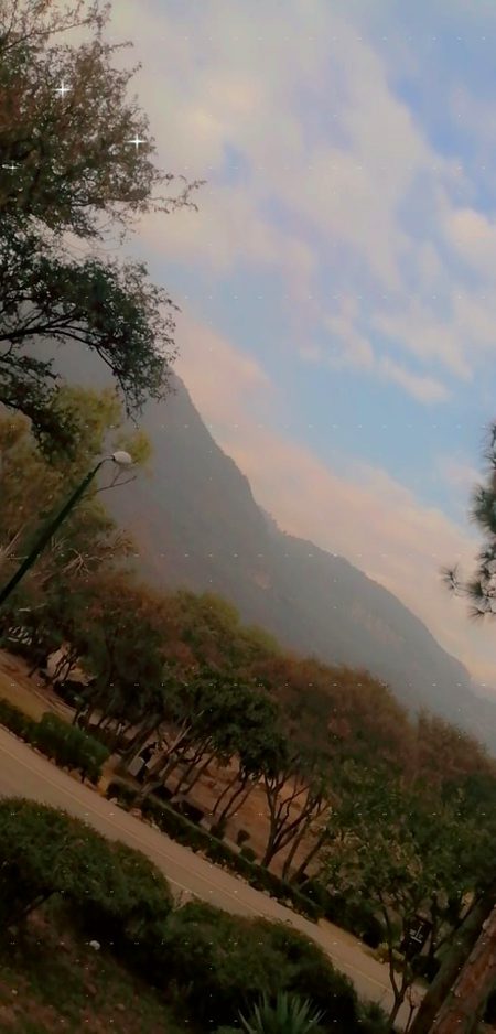 Beautiful Nature image