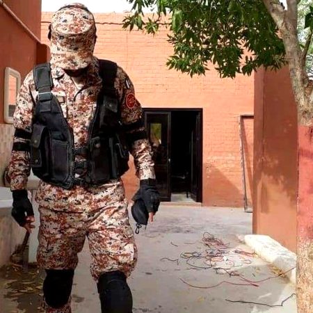 Sher khud apni takat se Raja hota hai, Jangal mein Voting nahi hote.🇵🇰