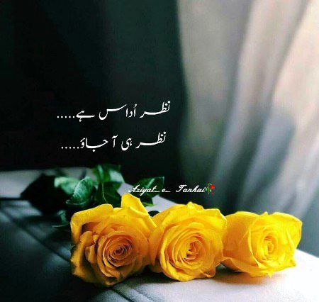 Sad Poetry image