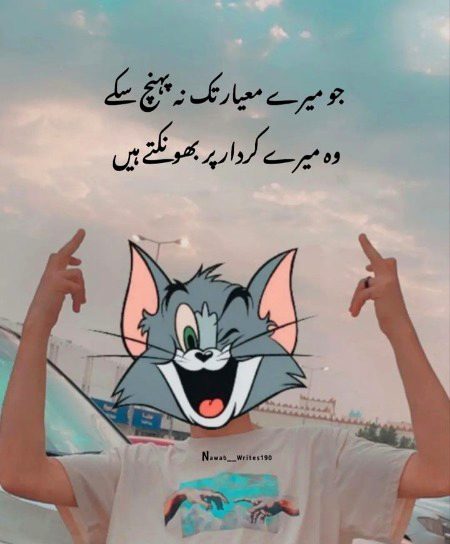 Attitude Quotes image