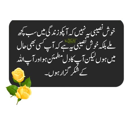 🖤💜🧡🖤💜🧡💜🧡