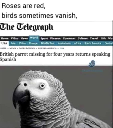 Interesting Posts image