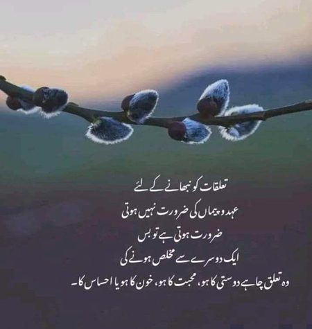 Saanaam m tmhry 7 mukhlis hu