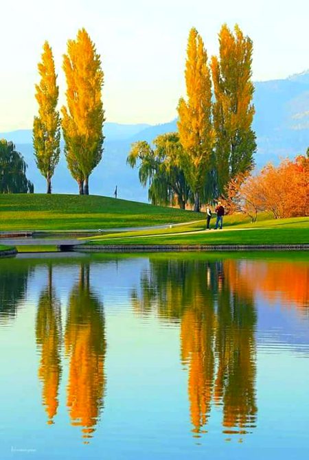 Beautiful Nature image